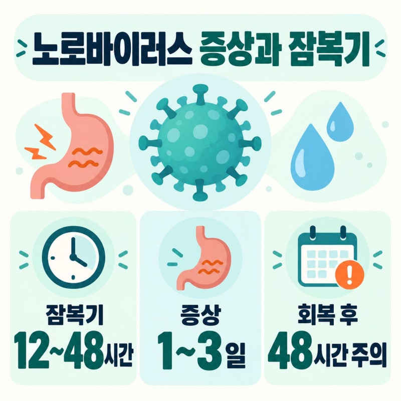노로바이러스 증상과 잠복기, 전염 기간 및 예방법
