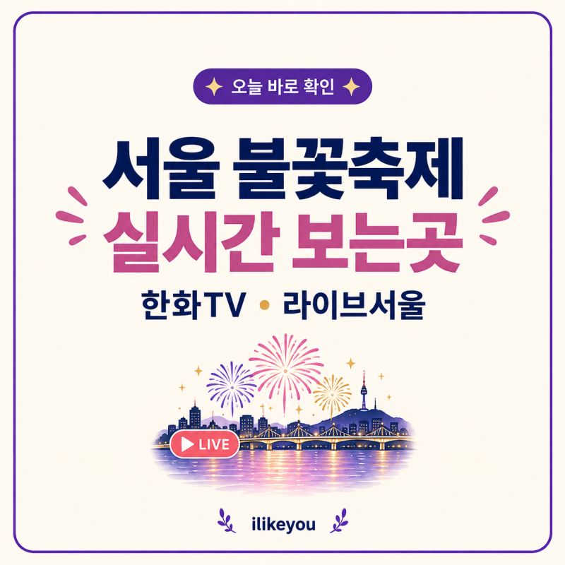 서울 불꽃축제 실시간 보는곳 온라인 라이브 방송 집에서 시청하기