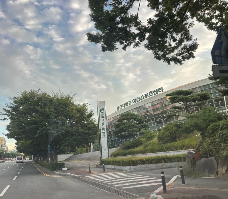 울산 수영장 아산스포츠센터 수영강습 후기｜50M 풀 수심·주차·탈의실까지