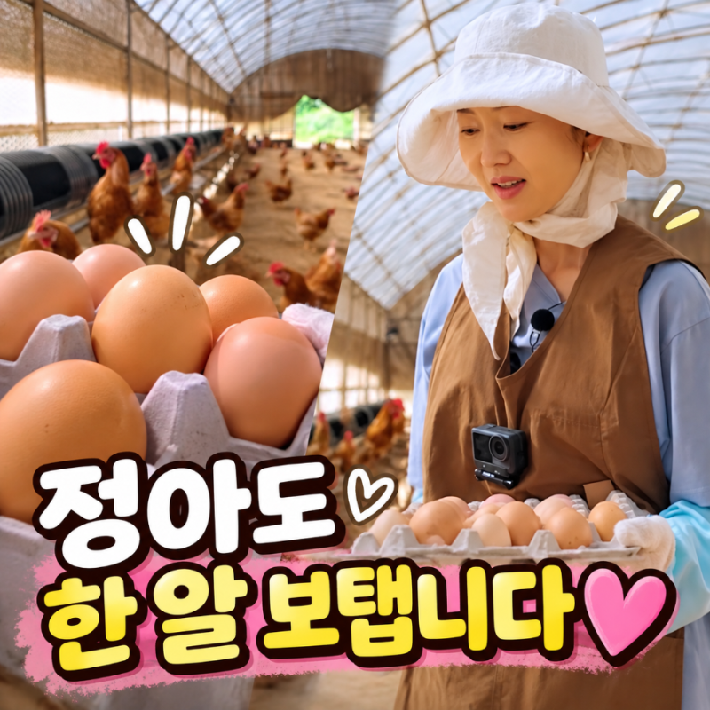 염정아도 반한 난각번호 1번 달걀 양계장 어디? 언니네 산지직송3 리뷰