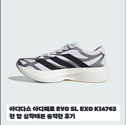 매일 아침 조깅에 신어본 아디제로 EVO SL EXO 두 주간의 변화
