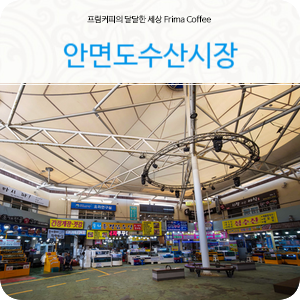 안면도수산시장 태안회센터 태안먹거리