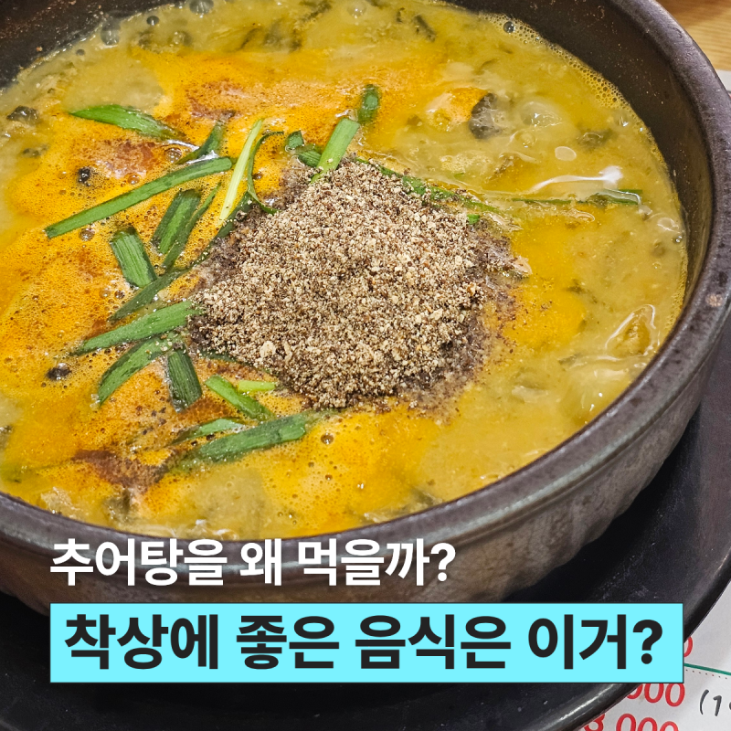 착상에 좋은 음식 따로 있을까? 추어탕이 유명한 진짜 이유