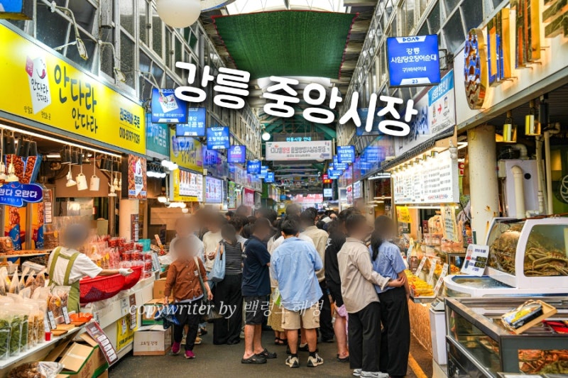 강릉 당일치기 갈만한곳 강릉 중앙시장 먹거리 월화거리