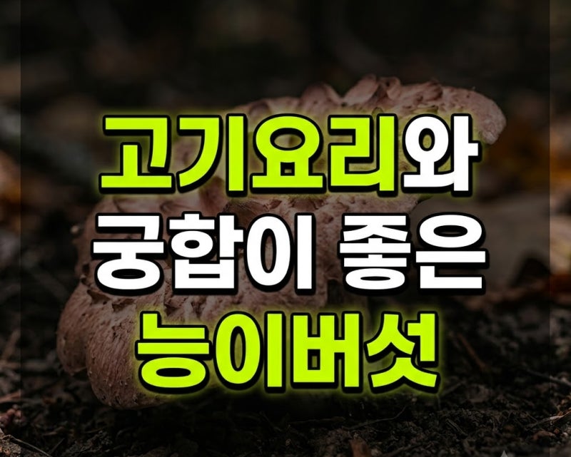 능이버섯 효능과 부작용, 좋은 능이버섯 고르는 법부터 손질·보관·먹는법까지