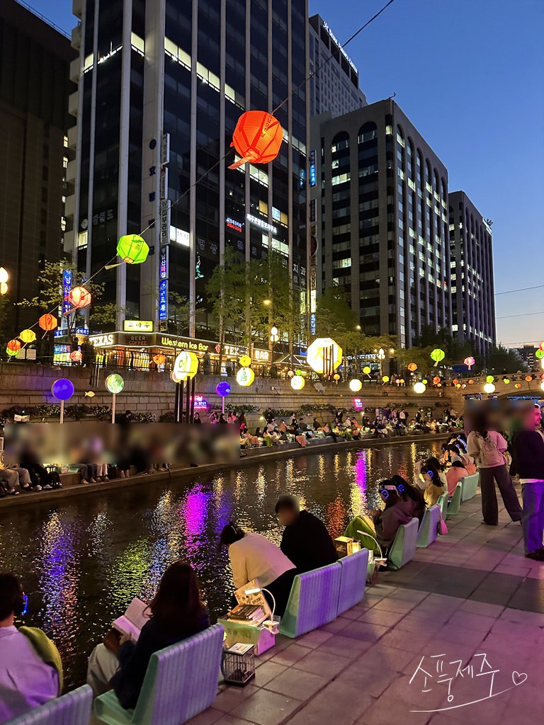 서울야외도서관 2026 하반기 개장! 광화문·청계천·서울광장 시간과 즐길거리