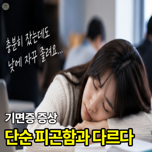 기면증 증상 총정리｜낮에 자꾸 졸린다면 “단순 피곤함과 다른 신호”