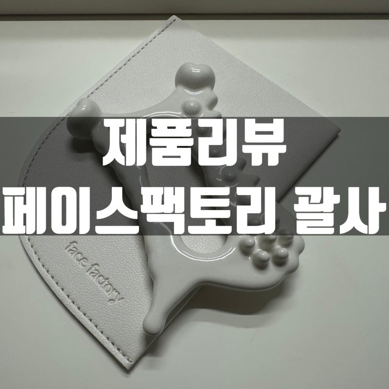 페이스팩토리 괄사 실제후기ㅣ사용하는방법부터 림프순환 효과까