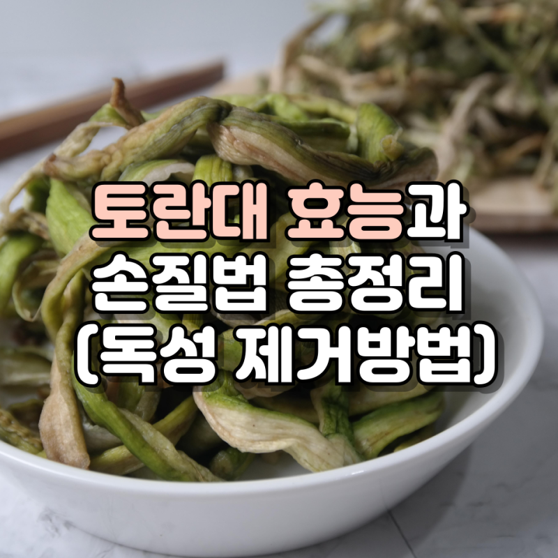 토란대 효능과 손질법 총정리 (독성 제거하는 방법까지)
