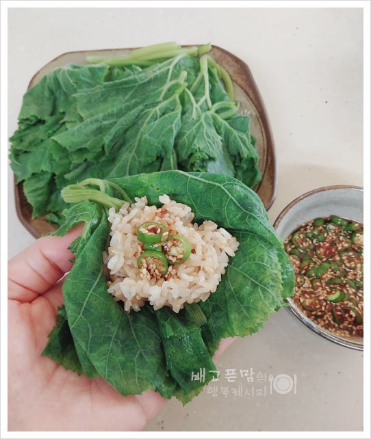 호박잎 쌈 호박잎 손질 호박잎 찌기 요리 레시피
