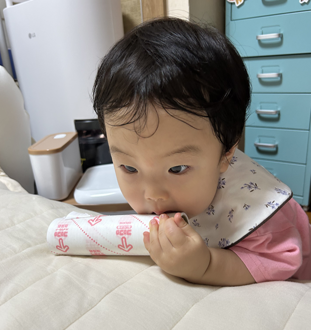 표준모자보건수첩 임산부부터 36개월 아기까지 발급·신청방법 총정리