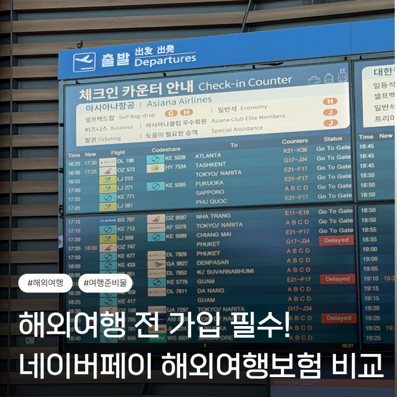 네이버페이 해외여행보험 비교 후기 여행준비 필수