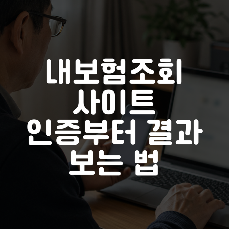 내보험조회 사이트 인증부터 결과 보는 법