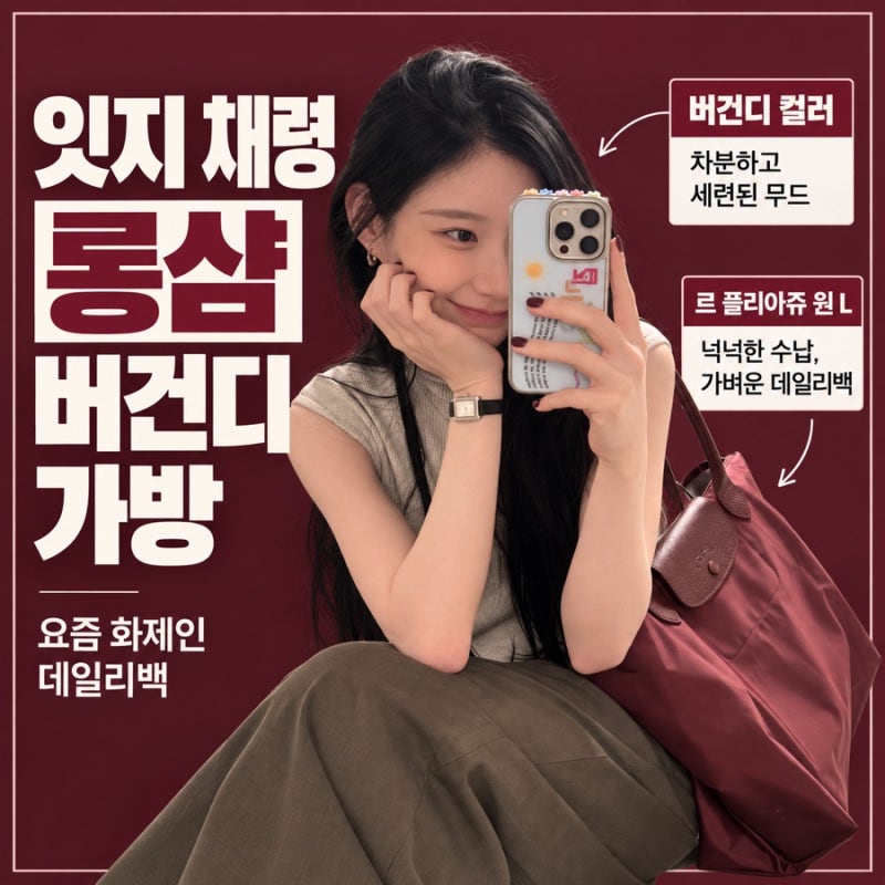 잇지 채령 롱샴 가방 뭐길래? 르 플리아쥬 원 버건디 L 사이즈 가격 정보