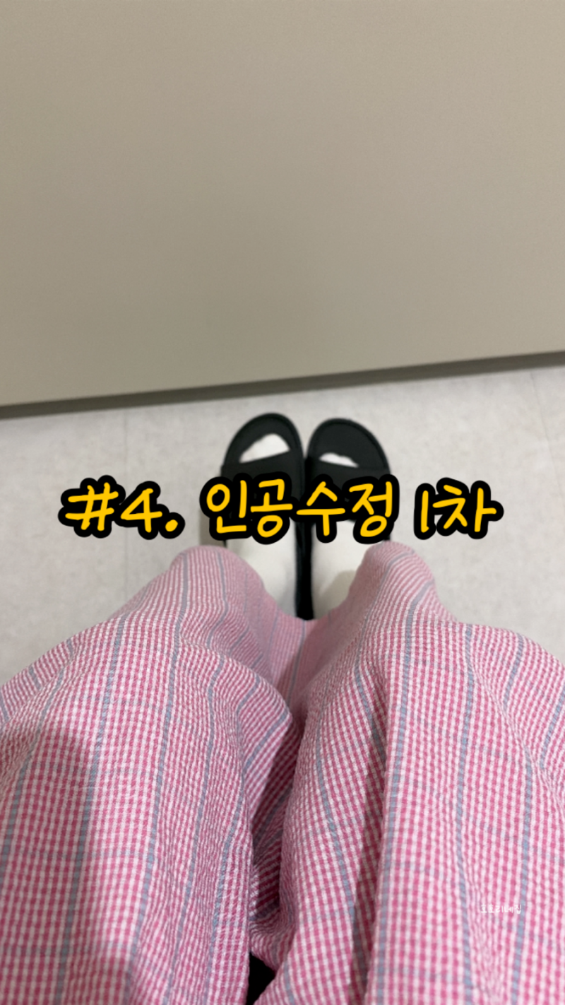 #4. 인공수정 준비/배란유도제 주사/질정/인공수정 후기/시술 진단서 발급