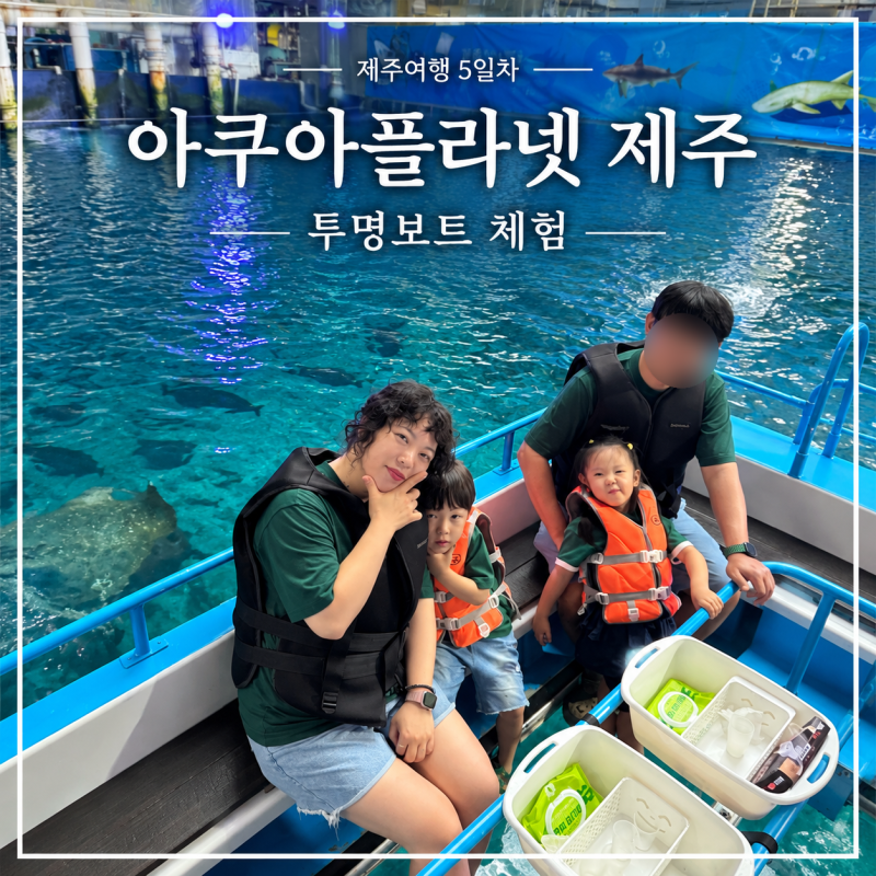 7월 제주 가족여행 5일차 2탄, 아쿠아플라넷 제주 오션아레나와 투명보트 체험 (2026.07.29)