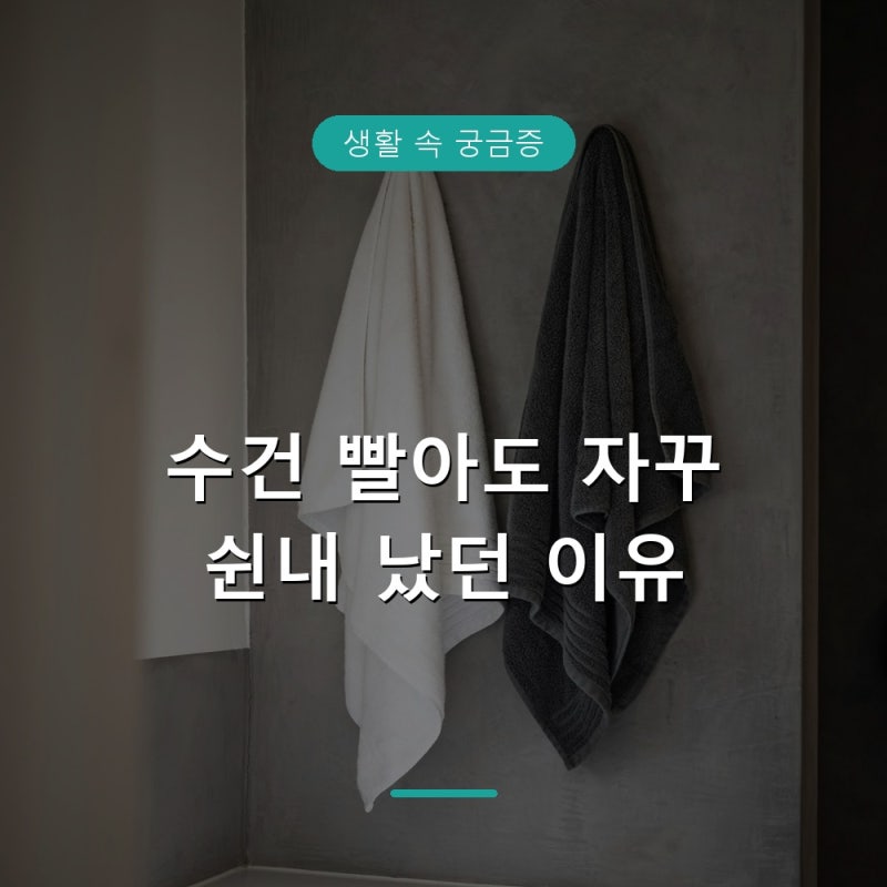 수건 빨아도 냄새 나는 이유와 냄새 안 나게 세탁하는 법