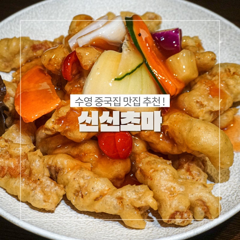 부산 수영 맛집 신신초마 수영점 후기 수영역 중식당 분위기 좋은 술집 추천