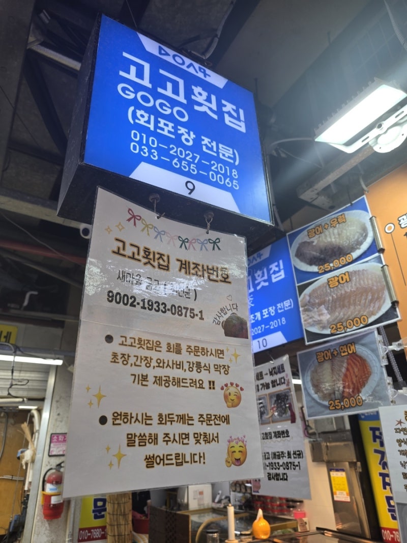 강릉 중앙시장 횟집 추천｜고고횟집 회 포장 솔직후기