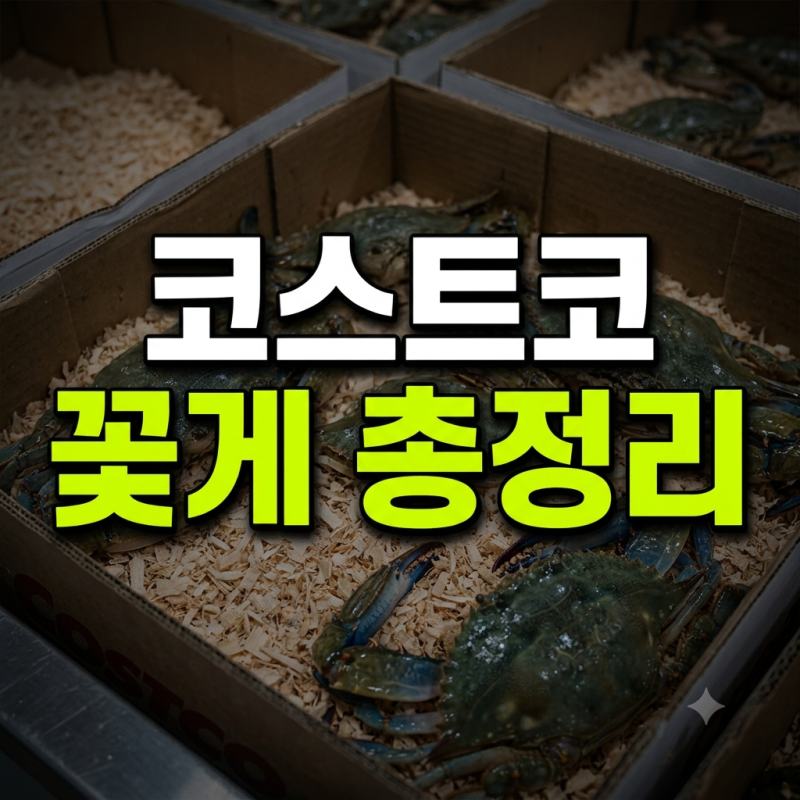 코스트코 꽃게 행사 기간(+가격 총정리)