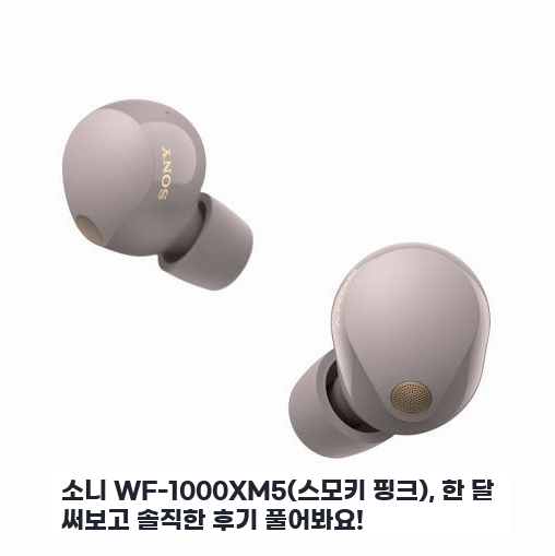 사무실에서 써본 소니 WF-1000XM5 스모키 핑크 음질 체감