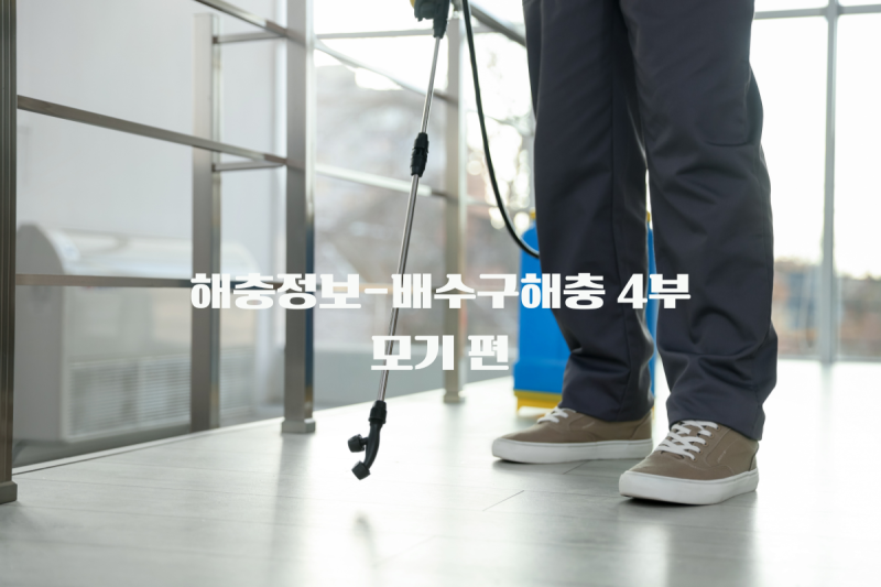해충정보-배수구 해충[4부]모기, 밤마다 나타나는 모기의 원인은?