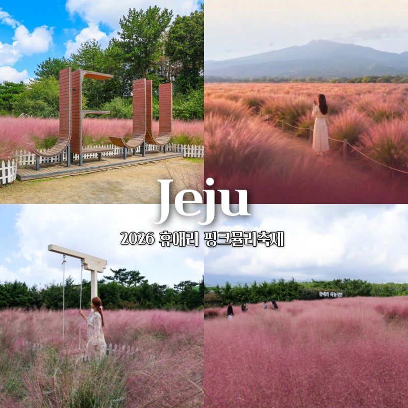 제주도 서귀포 가볼만한곳 제주 핑크뮬리 명소 휴애리 제주 관광지