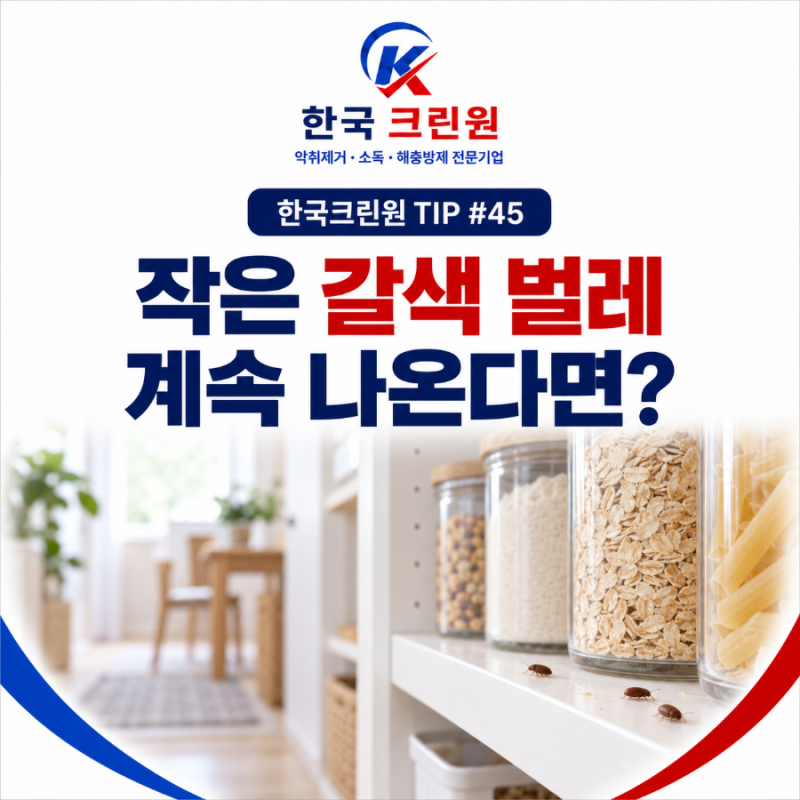 한국크린원 TIP #45 | 집에서 작은 갈색 벌레가 계속 보인다면? 권연벌레 원인과 확인 방법
