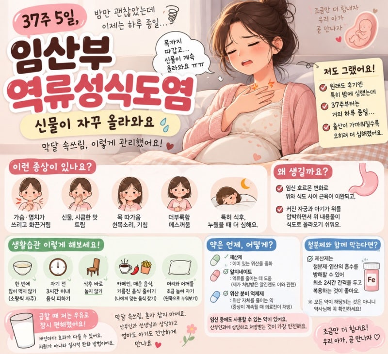 임산부 역류성식도염｜37주 되니 하루 종일 신물이 올라와요, 막달 속쓰림 해결법
