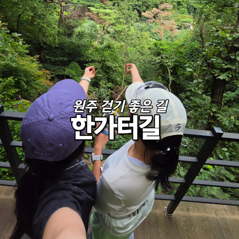 원주 치악산둘레길 11코스 한가터길 걷기 좋은 곳