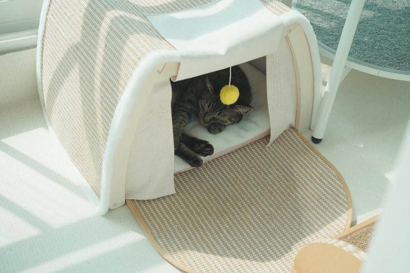 우리집 고양이 최애 숨숨집 스크래쳐 3