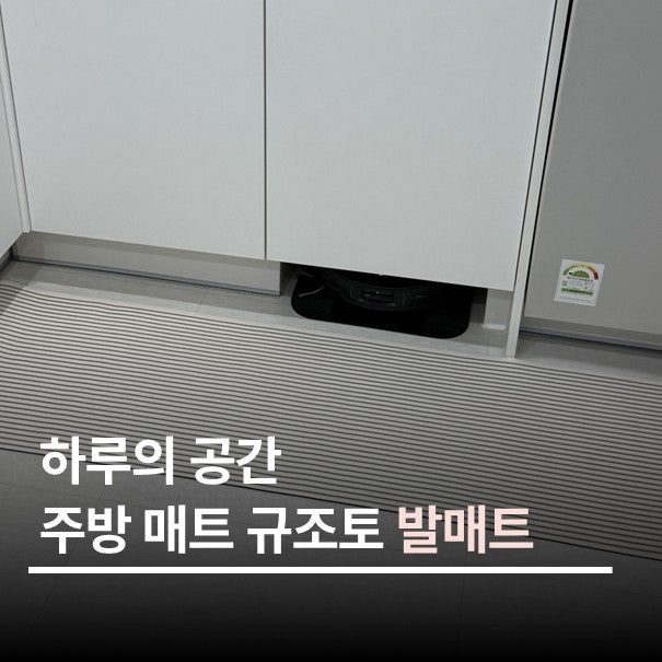 화장실 주방 규조토 발매트 추천 세척 방법까지!