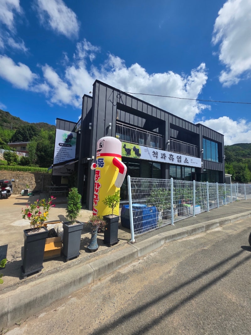 울산맛집 척과흑염소 시부모님 모시고 몸보신한 울산현지인맛집