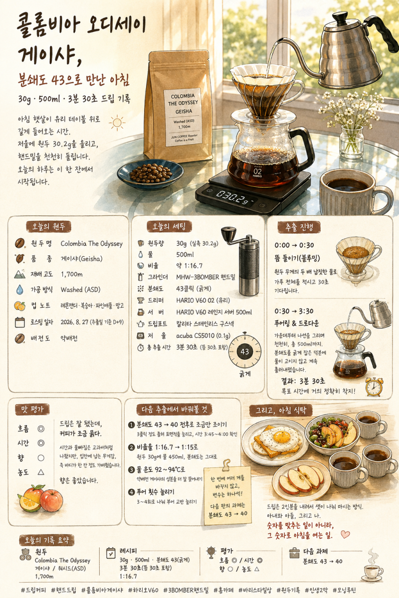 콜롬비아 오디세이 게이샤 드립