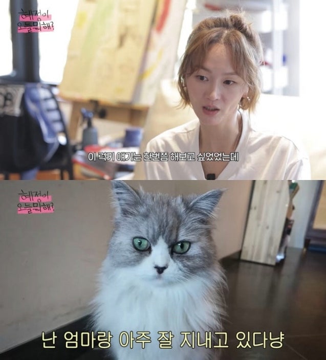 “파양한 거 아니에요” 이혜정, 10년 묵은 반려묘 논란 직접 해명