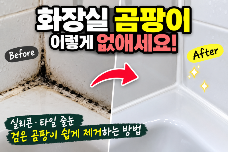 화장실 곰팡이 제거 방법｜실리콘·타일 줄눈 검은 곰팡이 쉽게 없애기