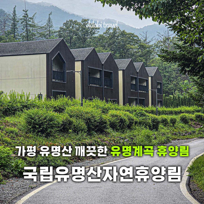 가평 유명계곡 국립유명산자연휴양림 휴양관 붉은봉