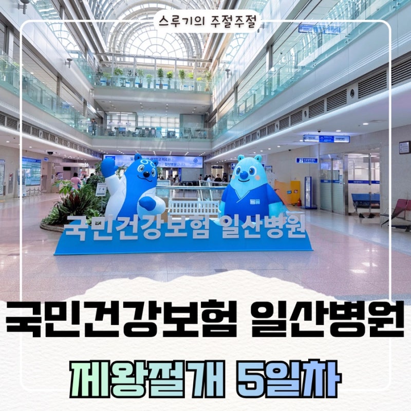 국민건강보험공단 일산병원 제왕절개 5일차 (퇴원)