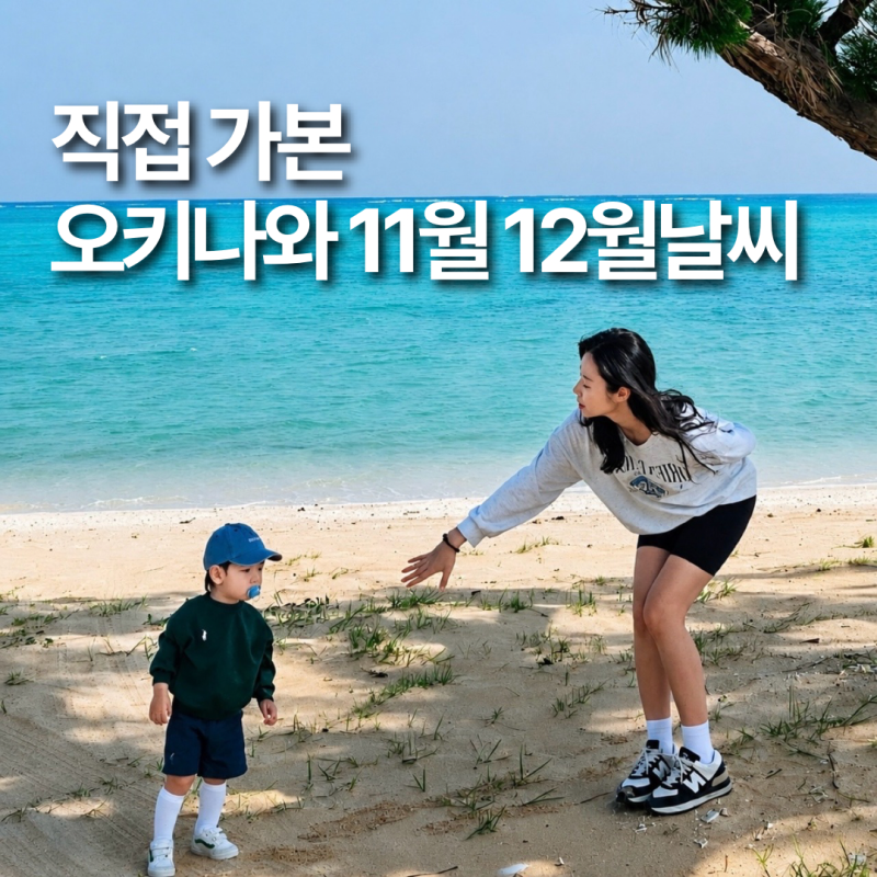 오키나와 11월 12월 날씨 옷차림 수영 태풍,직접 다녀온 후기 총정리
