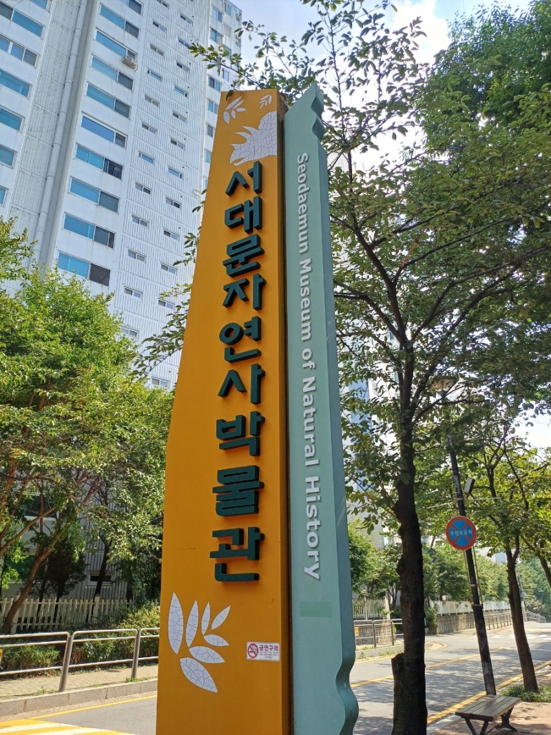 공룡부터 우주까지! 아이들이 시간 가는 줄 몰랐던 곳, 서대문자연사박물관