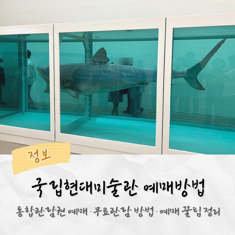 [정보] 국립현대미술관 티켓 매진이어도 관람할 수 있는 방법, 예매 꿀팁과 무료관람 방법 정....