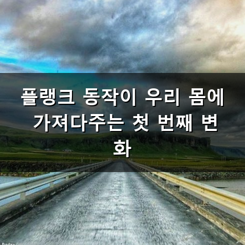 플랭크 효과 운동하면 왜 뱃살이 쏙 들어갈까