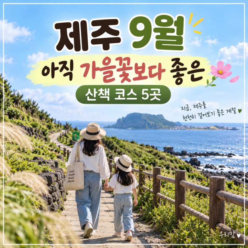 제주 9월 아직 가을꽃보다 좋은 산책 코스 5곳
