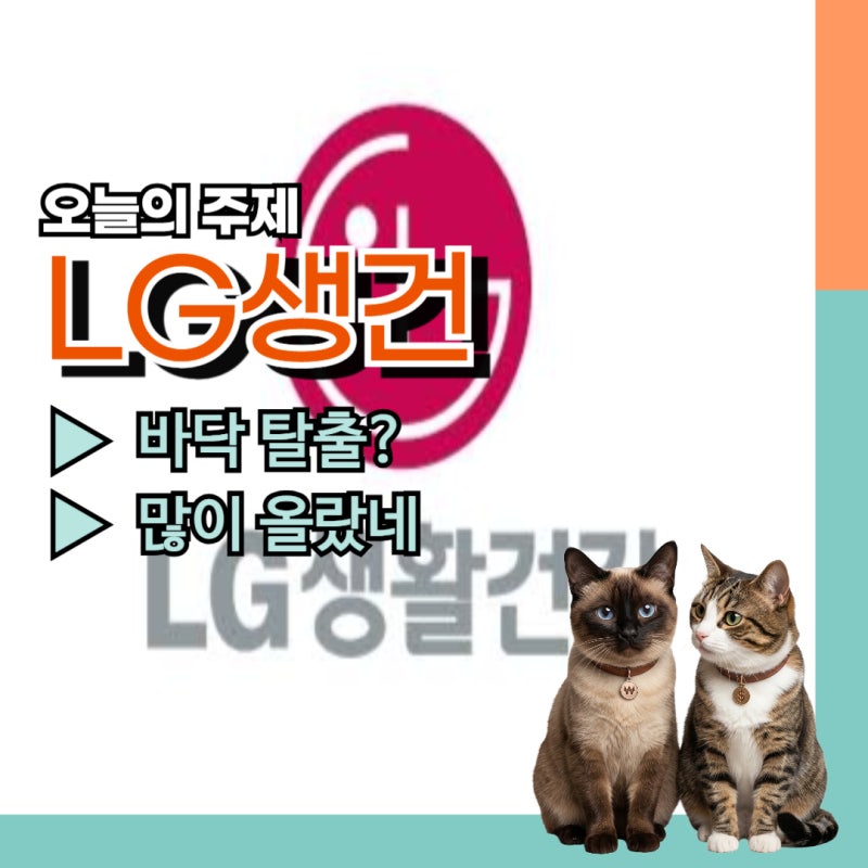 LG생활건강 주가 포트폴리오 재편 화장품주 엘지생활건강 실적발표 흑자전환 언제? 목표주가....