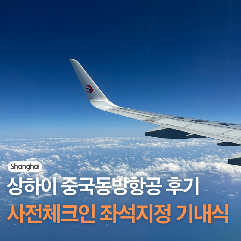 상하이 중국동방항공 후기 기내식부터 사전 체크인 좌석 지정 방법까지