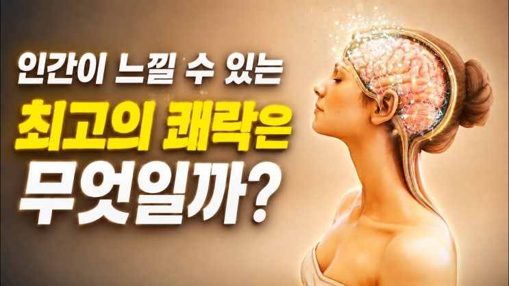 뇌가 느끼는 쾌락 순위 (5위~1위) 마약 제외