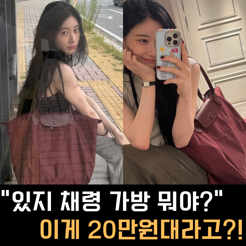 있지 채령 가방 20만원대? 기저귀가방 이미지 벗은 롱샴 르 플리아쥬