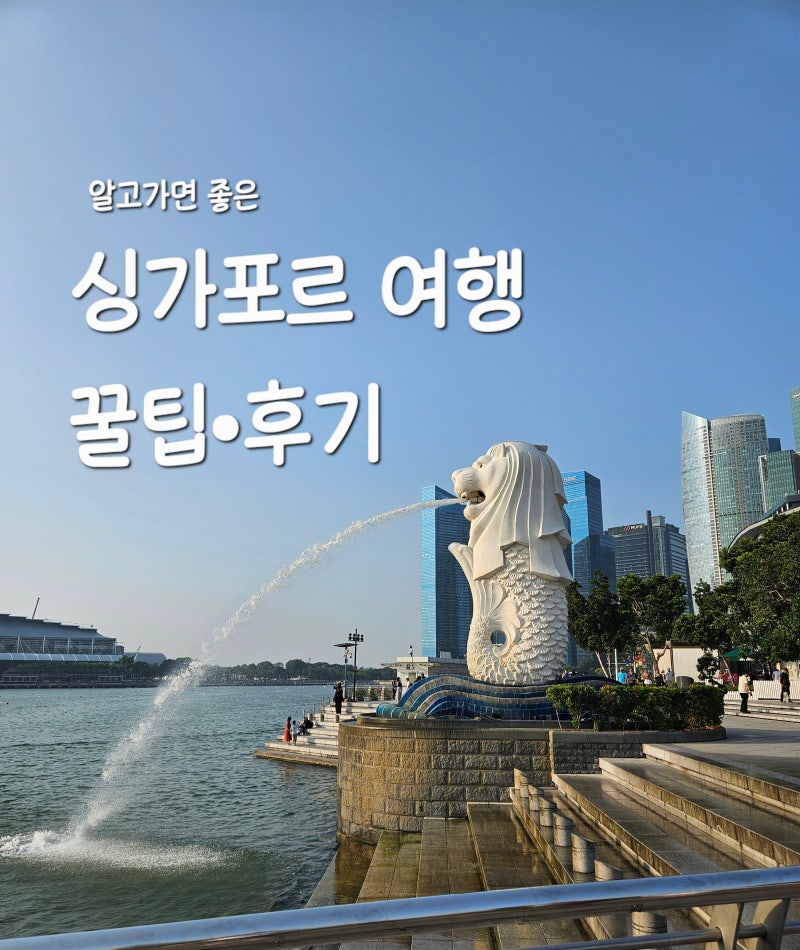 싱가포르 여행 꿀팁: SG Arrival Card | 그랩(Grap) 사용법 | 창이공항 아시아나 얼리체크인 | 토스 ....
