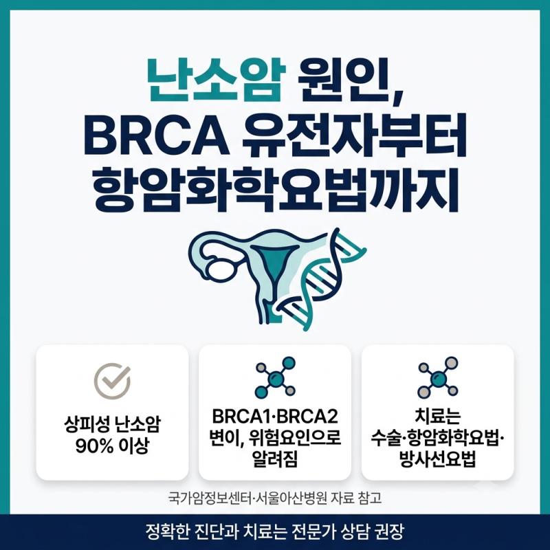 난소암 원인 BRCA 유전자부터 항암화학요법까지 한 번에 정리