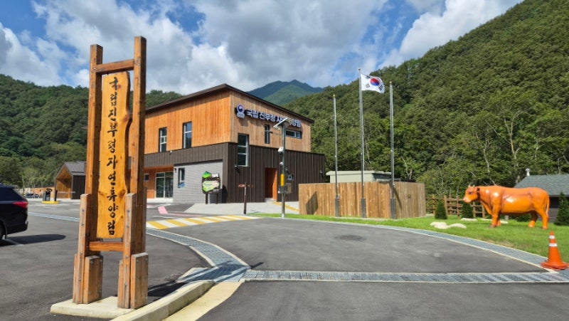 국립진부령자연휴양림 신축 숙소 당첨 후기! 가격부터 예약방법, 주변 가볼만한곳까지 총정....
